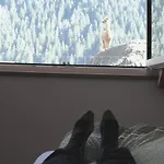Apartment Viersterne Neustift im Stubaital