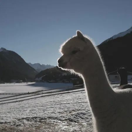 Viersterne Διαμέρισμα Neustift im Stubaital