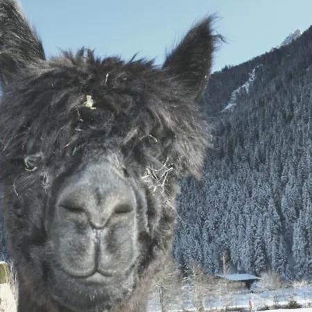 Viersterne Neustift im Stubaital