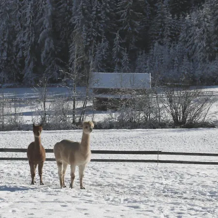 Viersterne Διαμέρισμα