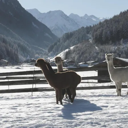 Διαμέρισμα Viersterne *