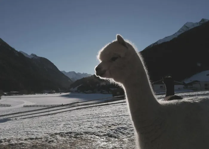 Viersterne Apartment Neustift im Stubaital