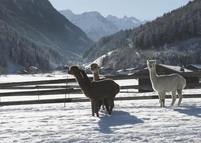 Apartment Viersterne *