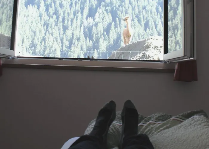 公寓 Viersterne 施图拜河谷新施蒂夫特